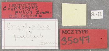 Media type: image;   Entomology 35047 Aspect: labels